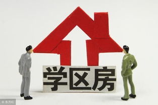 最新泰安市小區(qū)學區(qū)劃分明細表，速來轉(zhuǎn)發(fā)收藏！