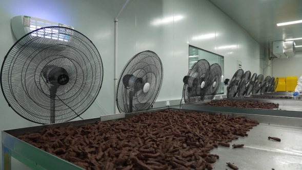 開發區肉牛產品 以“?！逼焚|征服全國市場