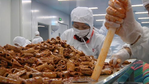 揭秘零食工廠 走進良品鋪子荊州生產基地，見證美味誕生之旅